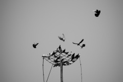 20161222-58