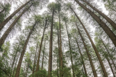 20190713-54-Pano