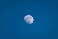 20240519-22